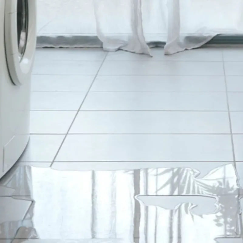 Appliance Leak Cleanup in Randolph, WI