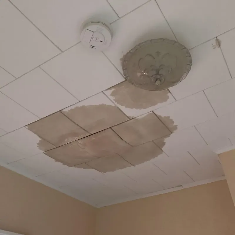 Ceiling Water Damage Repair in Randolph, WI