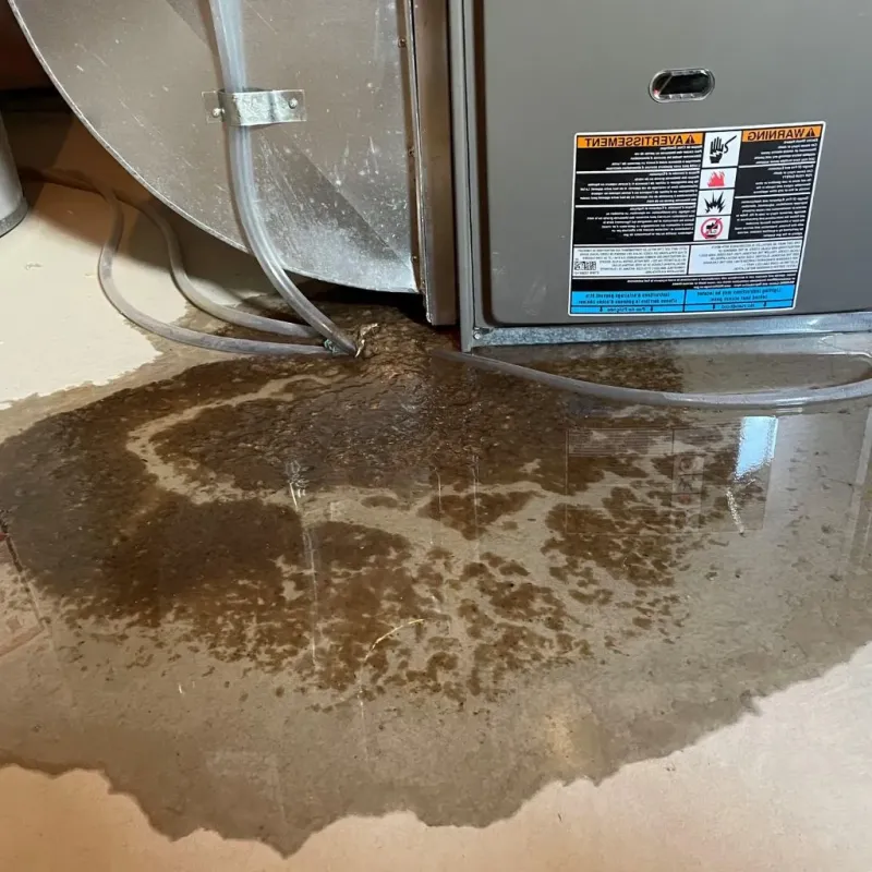 Pipe Burst and Leak Restoration in Randolph, WI